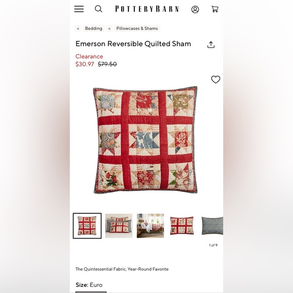 Pottery Barn Euro Sham - Picture 1 of 4